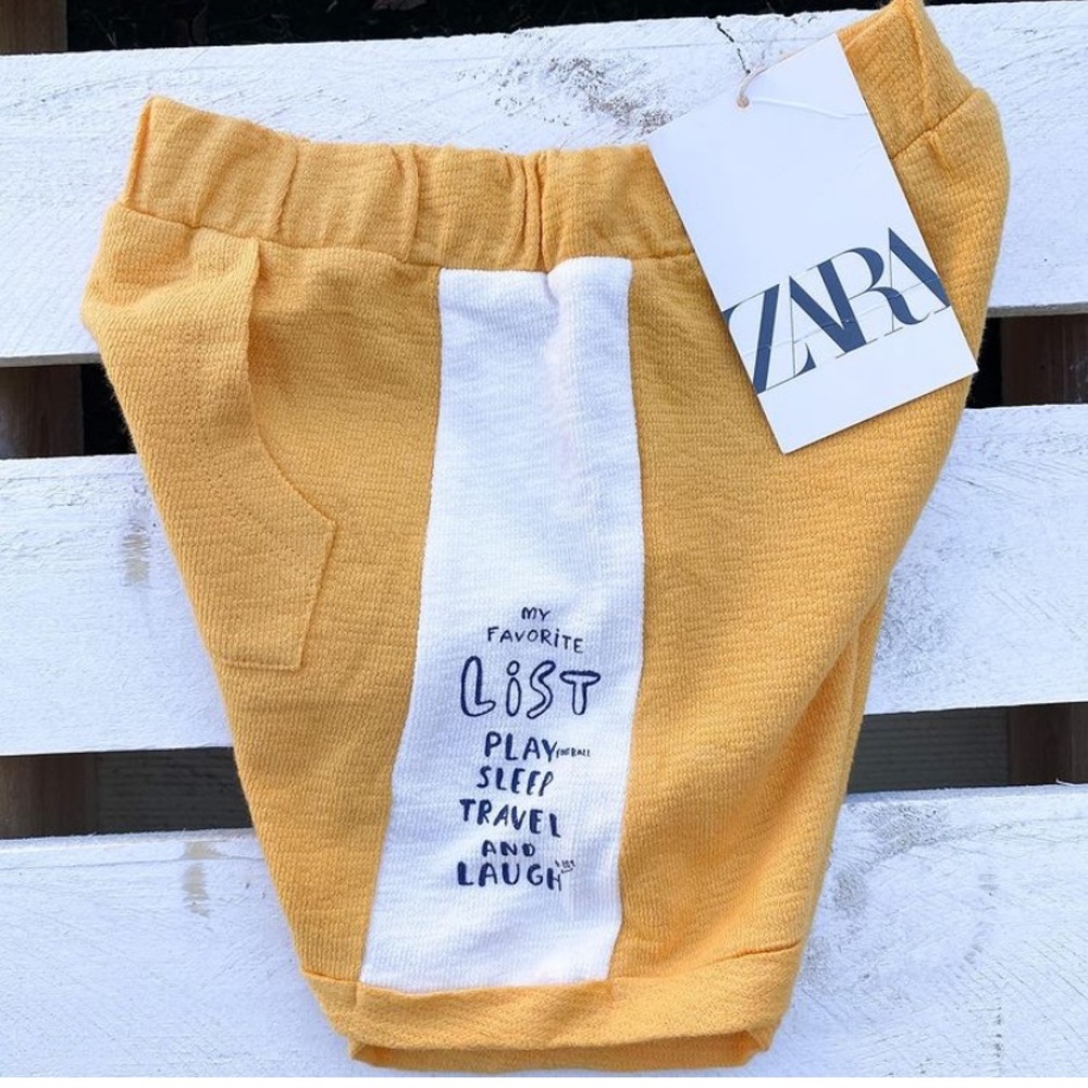 Zara shorts